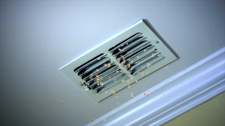 Best Affordable Duct Cleaning Services  in Spurgeon, TN
