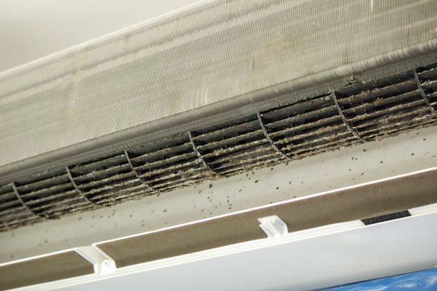 Best Ductwork Cleaning Services  in Spurgeon, TN